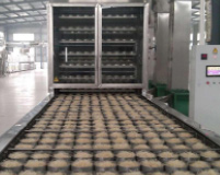 河南自熟粉絲機廠家哪家好？自熟粉絲機多少錢一臺？